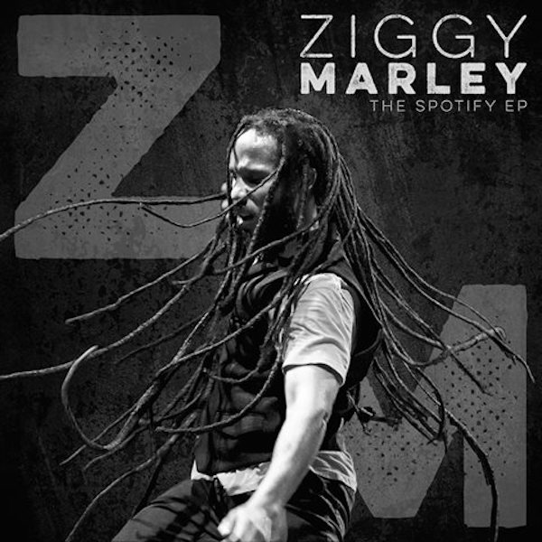 Albums Ziggy Marley 0446