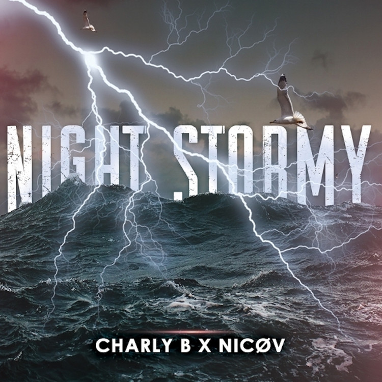 Charly B & Nicøv - Night Stormy