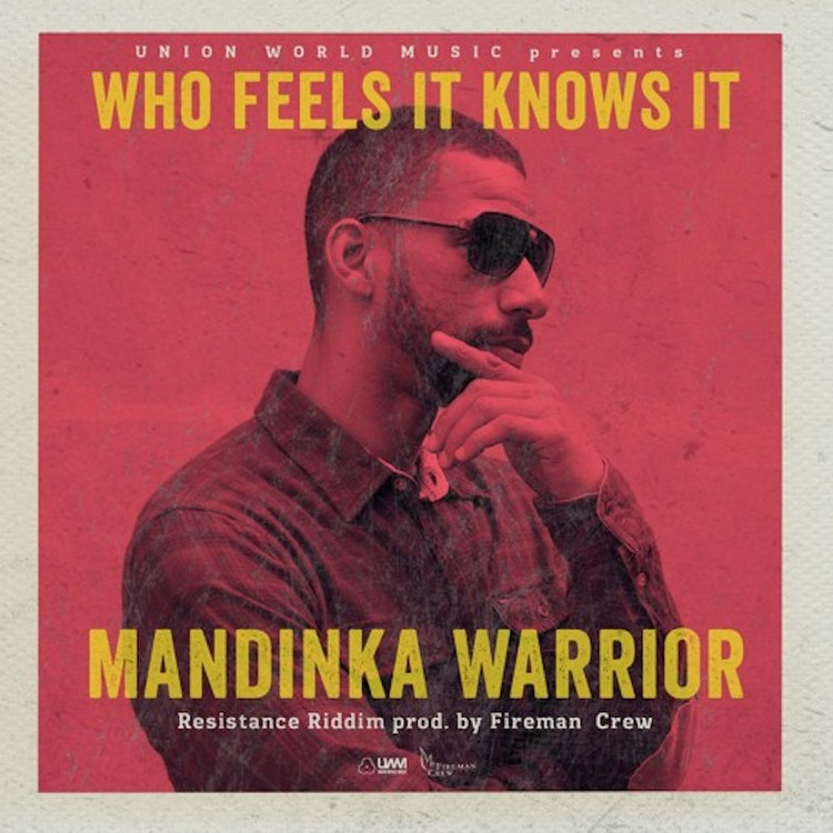 Mandinka Warrior - Who Feels It Knows It
