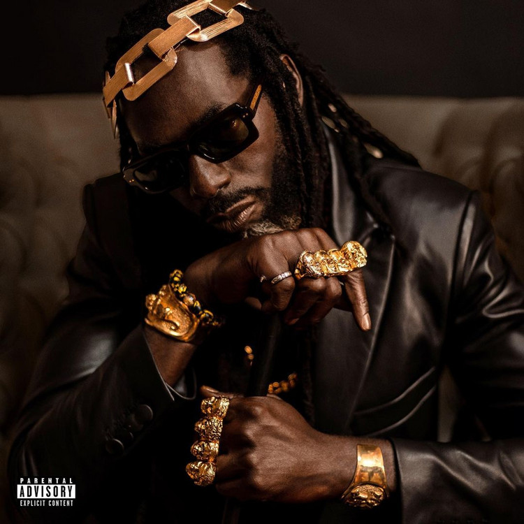 Buju Banton - Born For Greatness (Full Album)