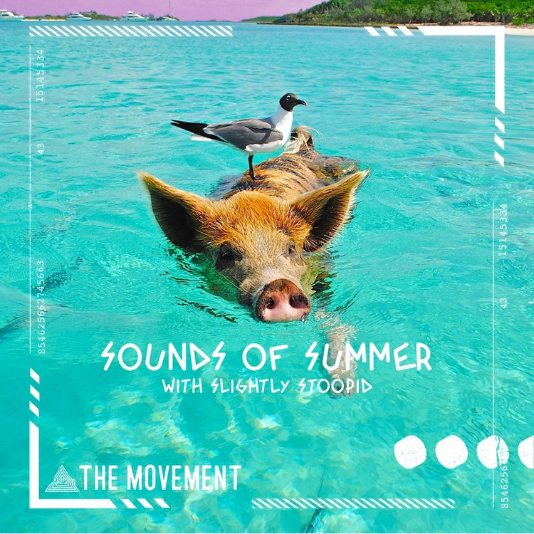 The Movement feat. Slightly Stoopid - Sounds Of Summer
