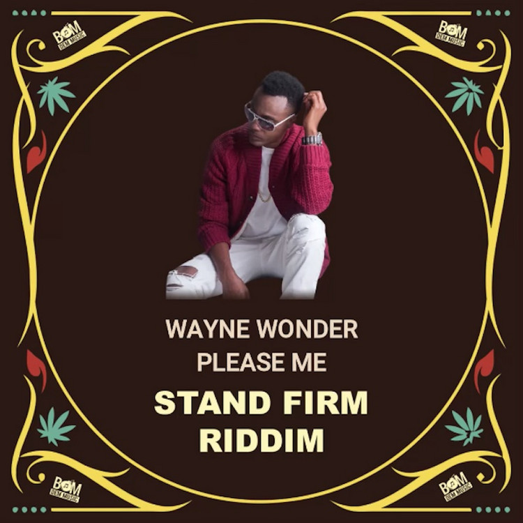 Wayne Wonder - Please Me