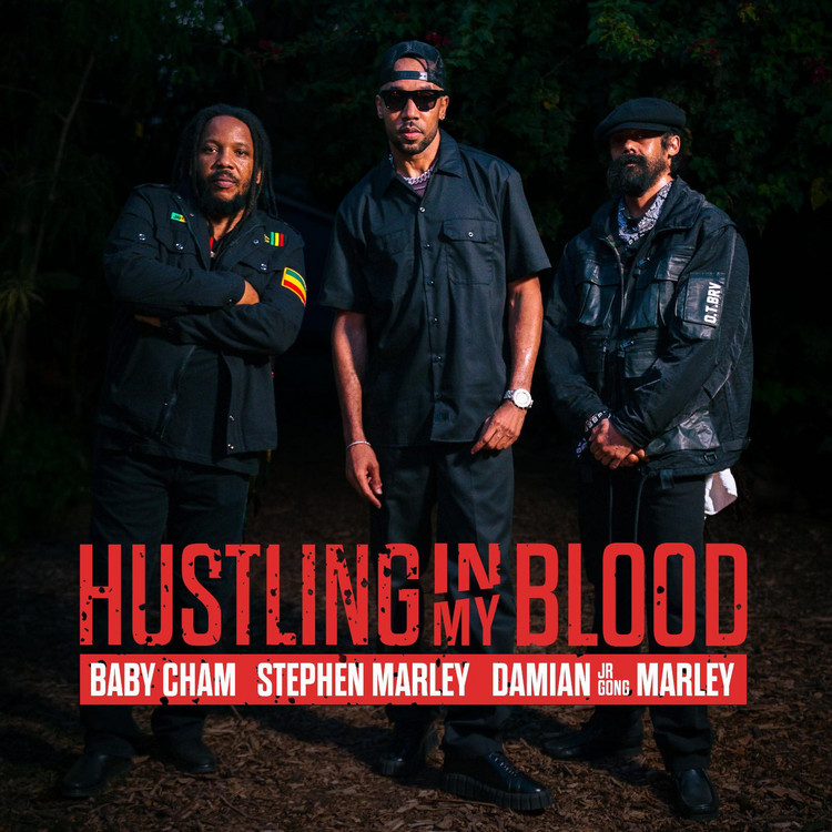 Baby Cham, Stephen Marley & Damian 'Jr. Gong' Marley - Hustling In My Blood