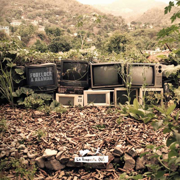 Forelock, Arawak & Paolo Baldini Dubfiles - To The Foundation (Full Album)