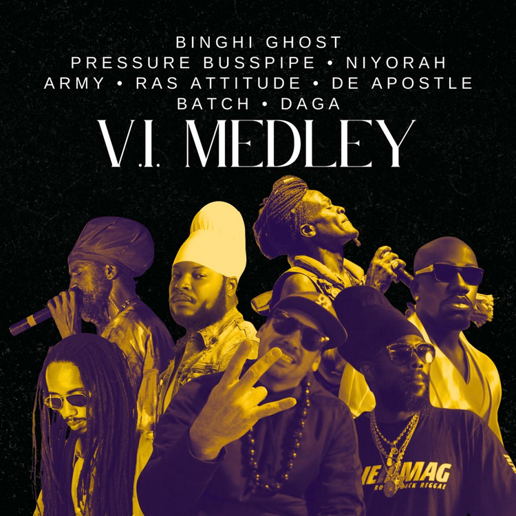Binghi Ghost, Pressure Busspipe, Niyorah, Army, Ras Attitude, De Apostle, Batch & DAGA - V.I. Medley