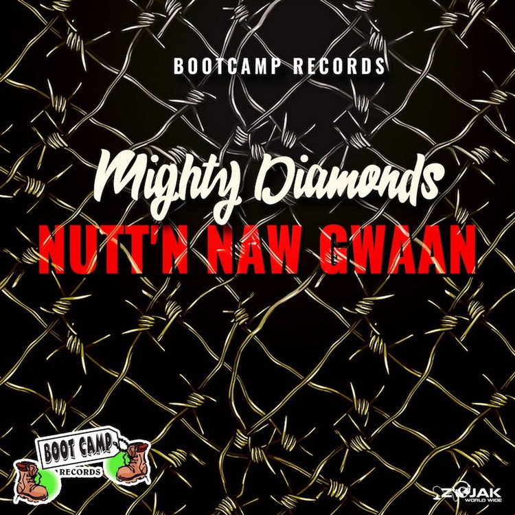 Mighty Diamonds - Nutt'n Naw Gwaan