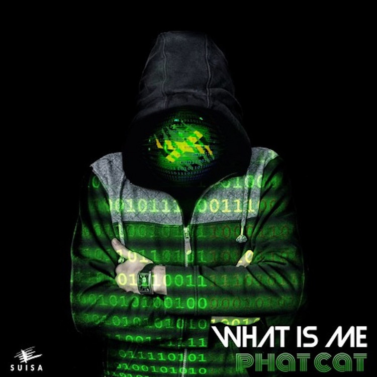Phat Cat - What Is Me