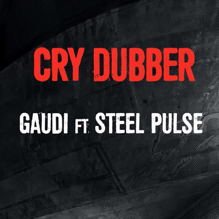 Gaudi feat. Steel Pulse - Cry Dubber