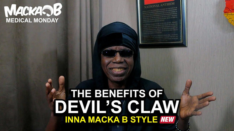 Video: Macka B's Medical Monday - Devil's Claw 12/5/2022