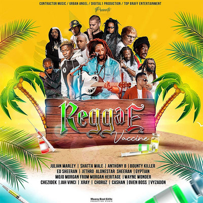  Reggae Vibes Riddim : VARIOUS ARTISTS: Digital Music