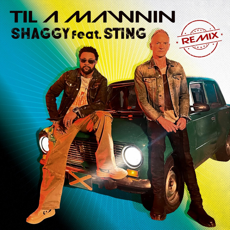 Shaggy feat. Sting - Til A Mawnin (Remix)