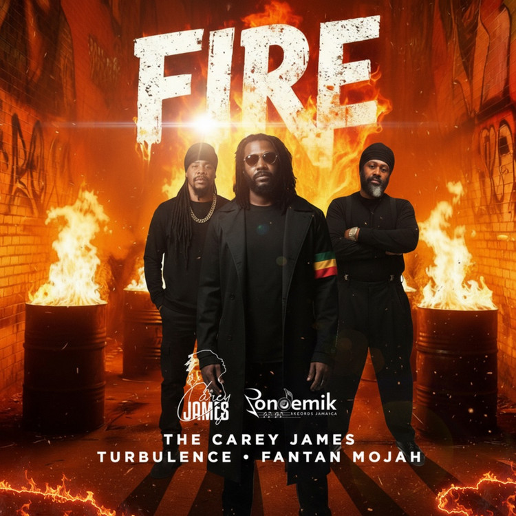 The Carey James x Fantan Mojah x Turbulence - Fire