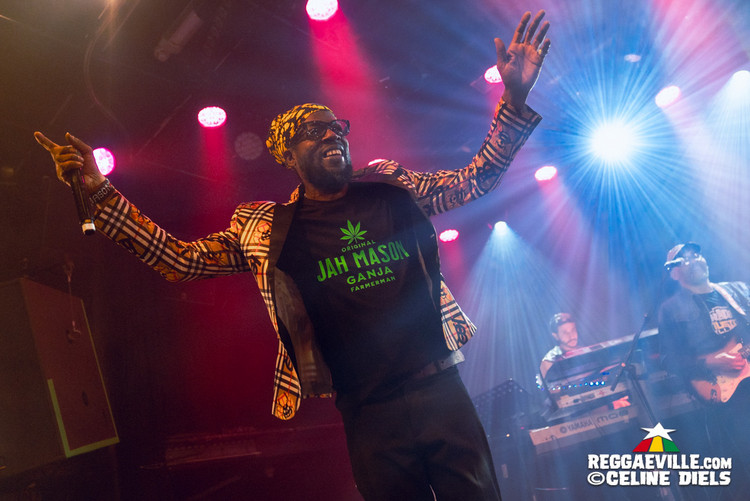 Lutan Fyah, Jah Mason, Zhayna