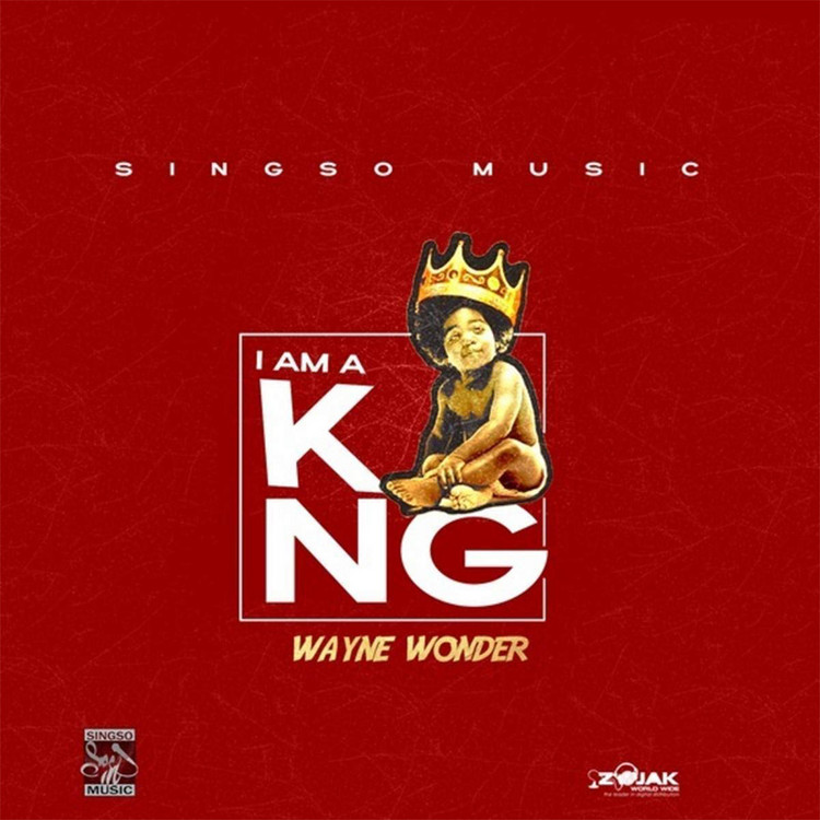 Wayne Wonder - Im A King