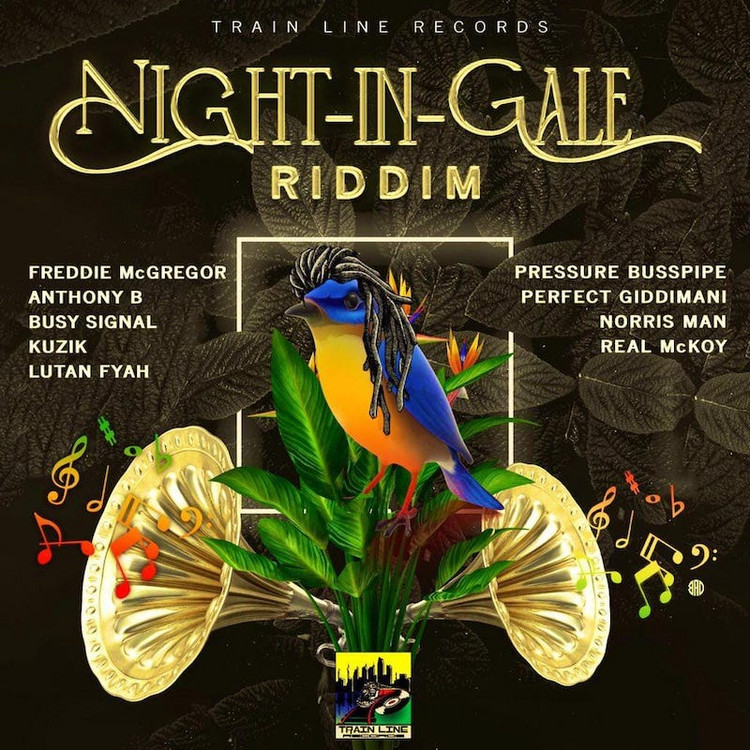 Night In Gale Riddim (Full Album)