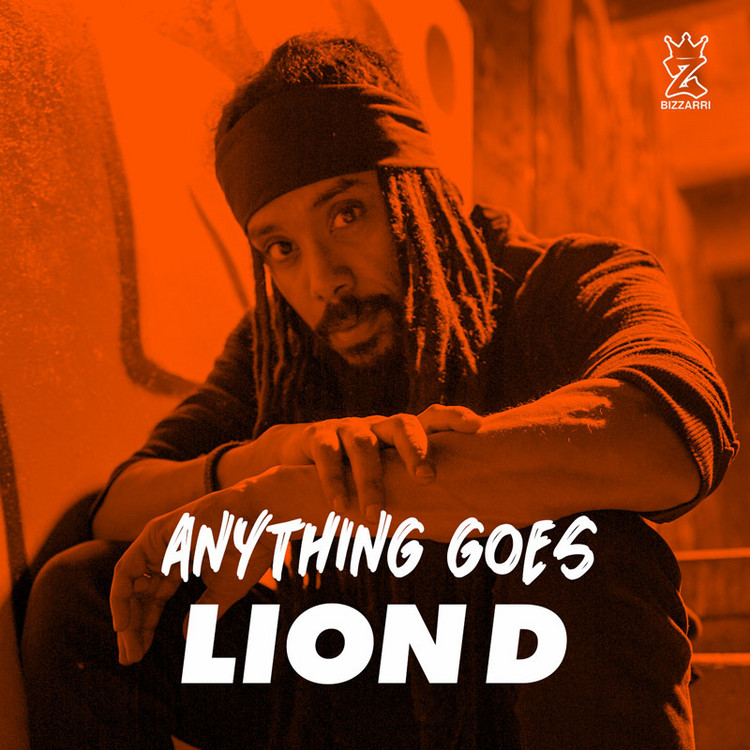 Lion D - Anything Goes