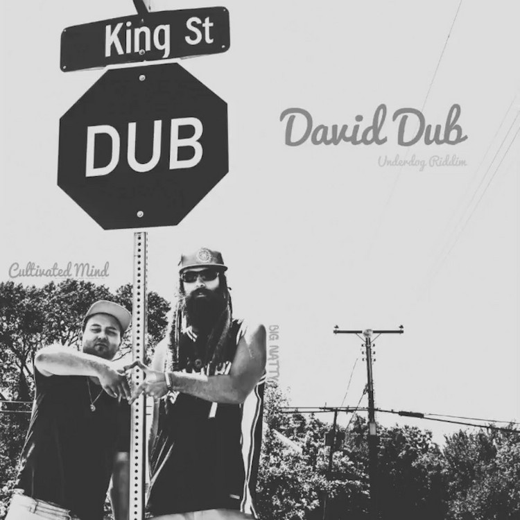 Cultivated Mind & Big Natty - David Dub
