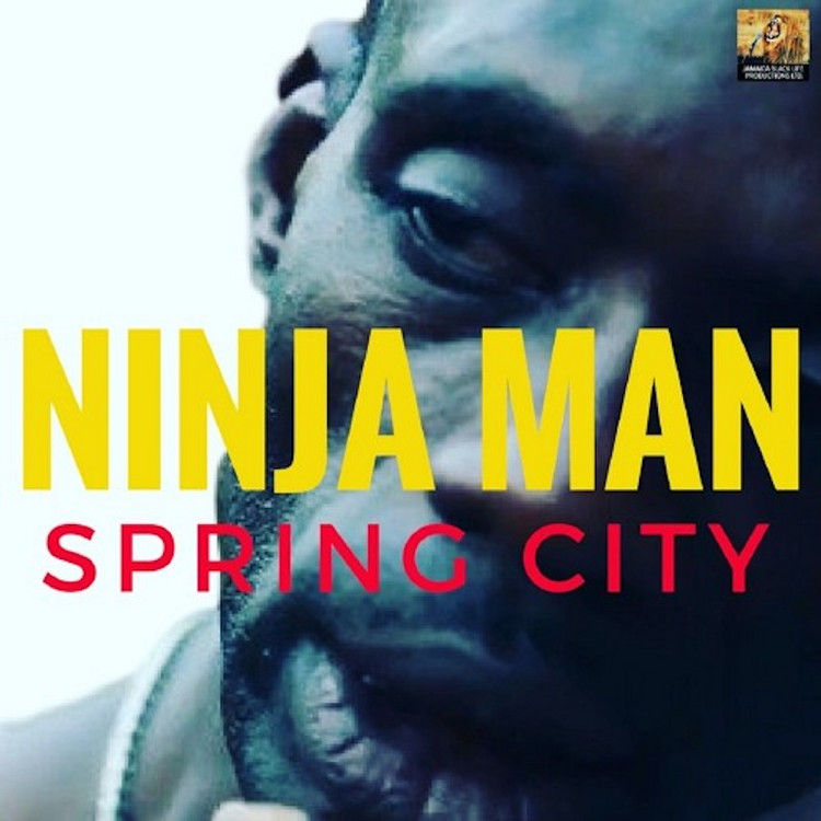 Ninjaman - Spring City
