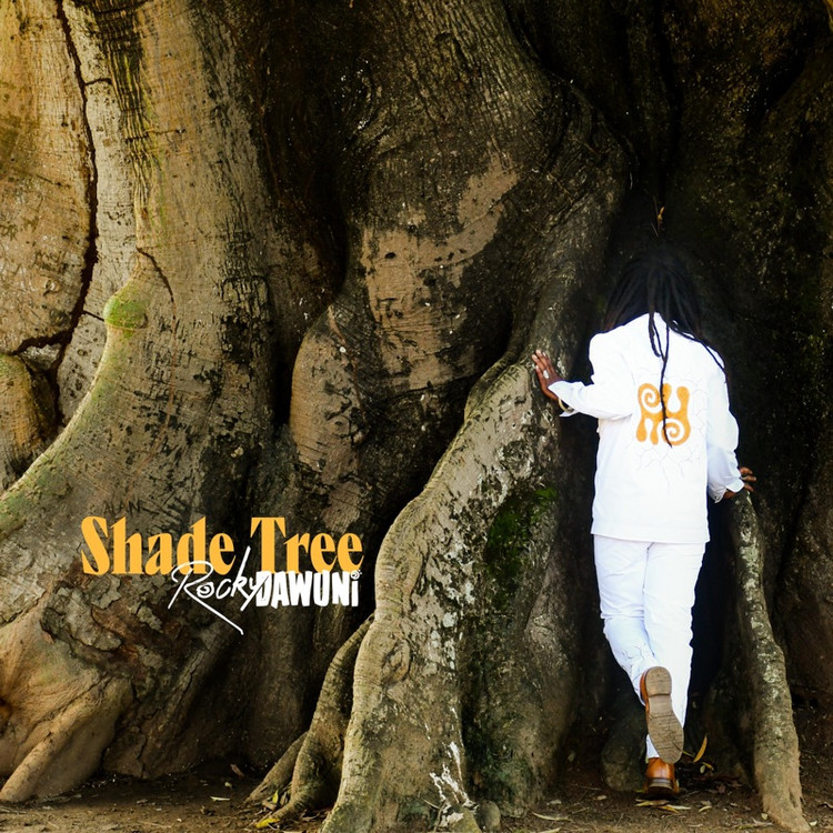 Rocky Dawuni - Shade Tree