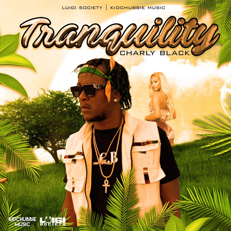 Charly Black - Tranquility