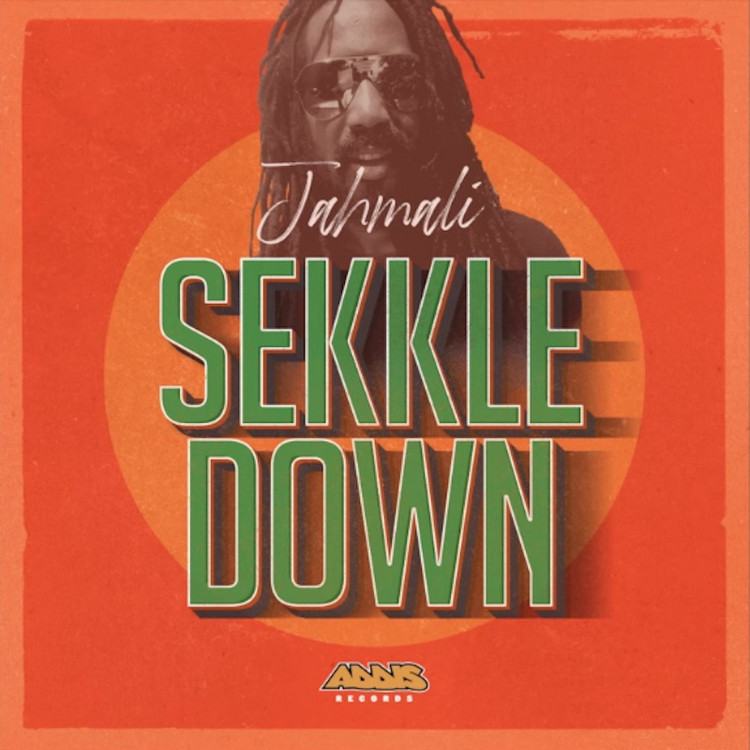 Jahmali - Sekkle Down