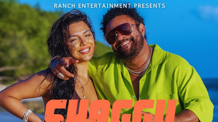 Listen: Shaggy feat. Lavinia - Move