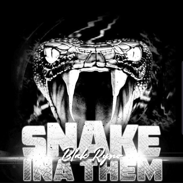 Blak Ryno - Snake Ina Them