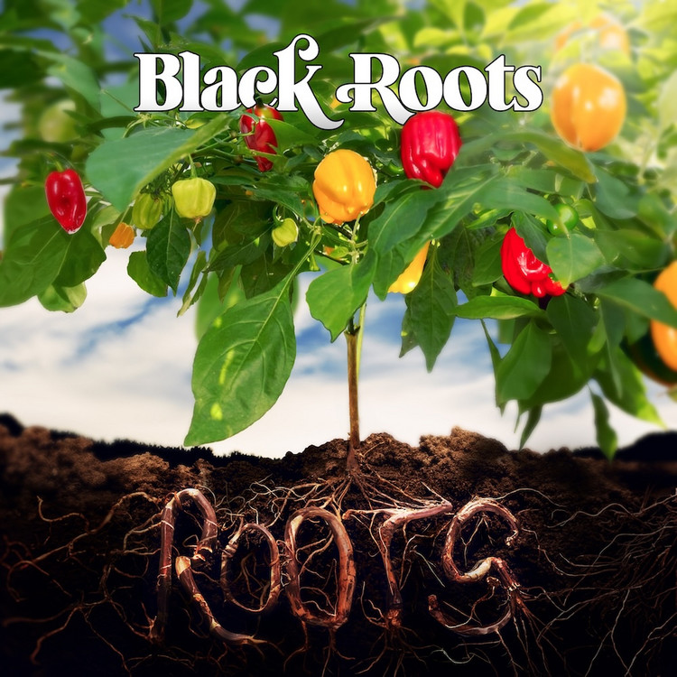 Black Roots - Roots (Full Album)