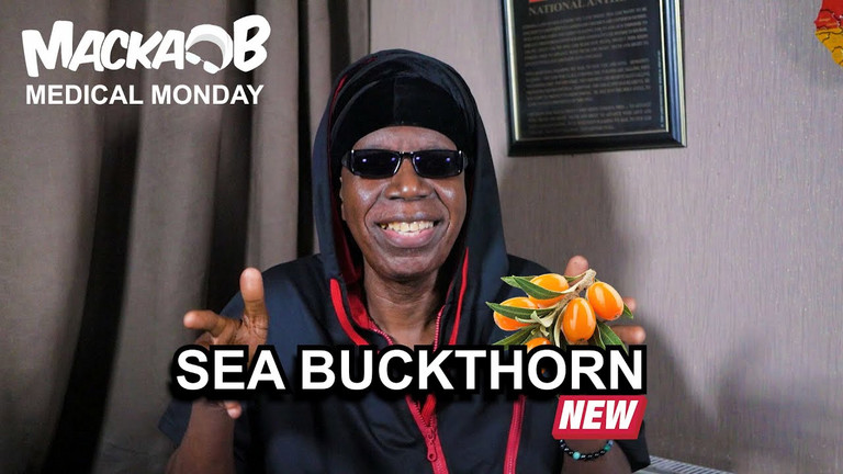 Video: Macka B's Medical Monday - Sea Buckthorn 6/20/2022