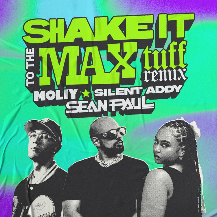 MOLIY X Silent Addy X Sean Paul - Shake It To The Max (Tuff Remix)