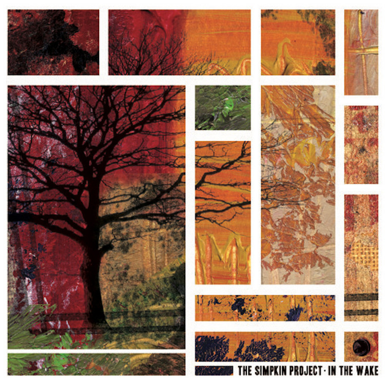 Simplin Project - What Have I Done