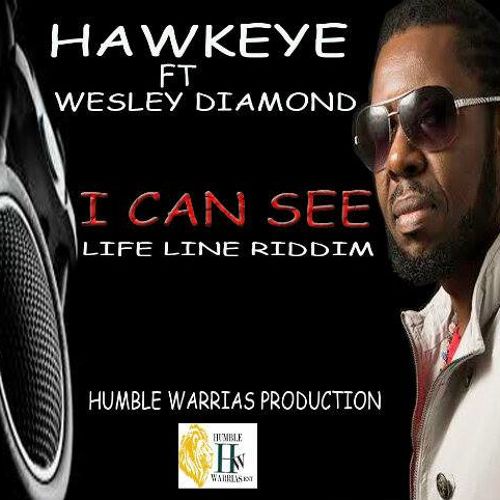 Hawkeye feat. Wesley Diamond - All I Can See