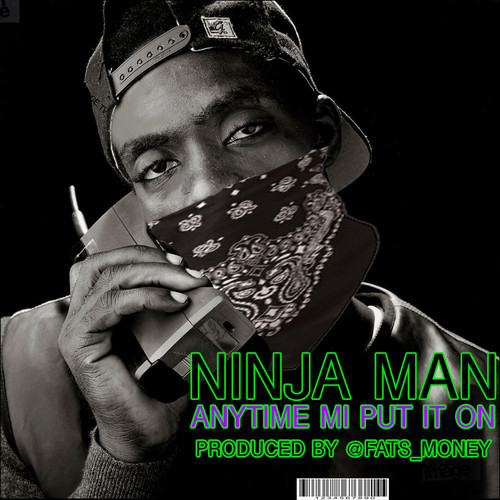 Ninjaman - Anytime Me Put It On