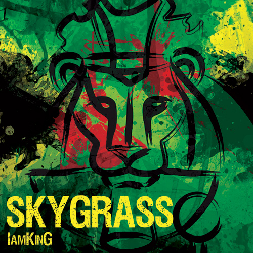 SKYGRASS - IamKinG