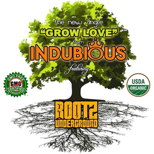 Indubious feat. Rootz Underground – Grow Love