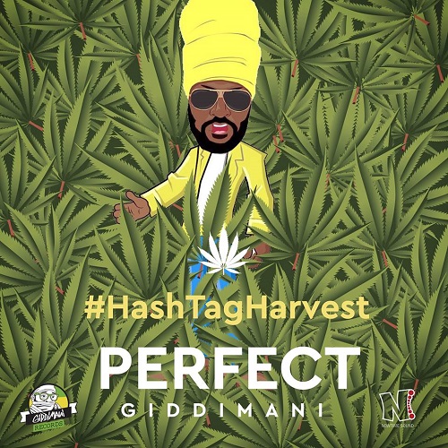 perfectgiddimani_hashtagharvest.jpg