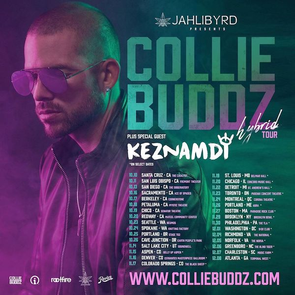 Date Collie Buddz 11 22 2019