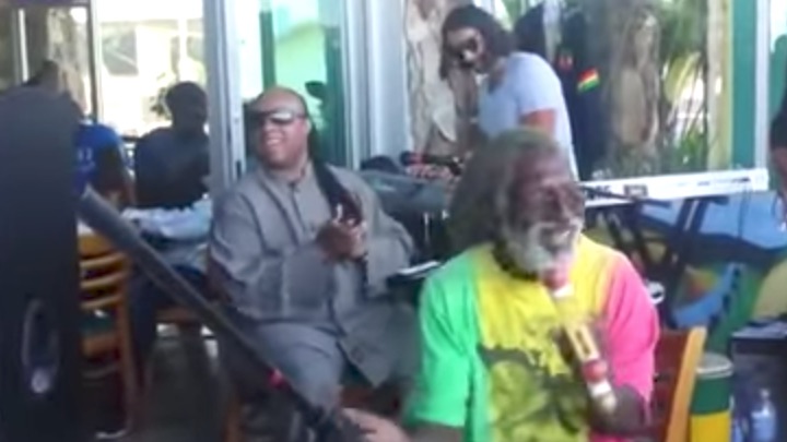 Stevie Wonder Joins Band to Sing Bob Marley's Waiting In Vain (2013) [10/9/2015]