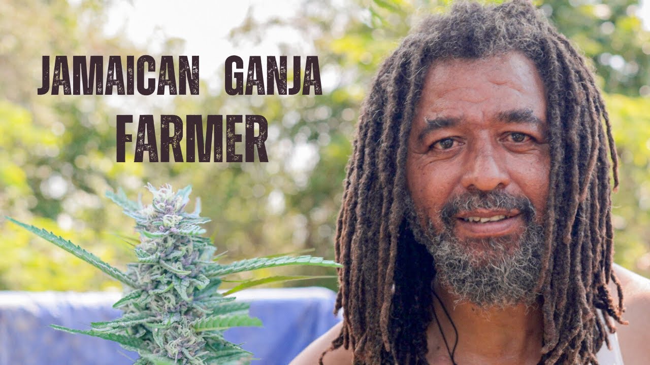 Jamaican Ganja Farmer [4/30/2023]