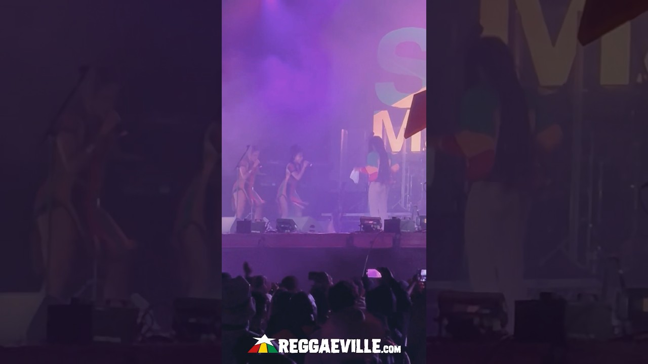 Skip Marley @ Reggae Land 2024 [8/4/2024]