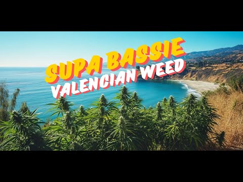 Supa Bassie - Valencian Weed [11/28/2024]