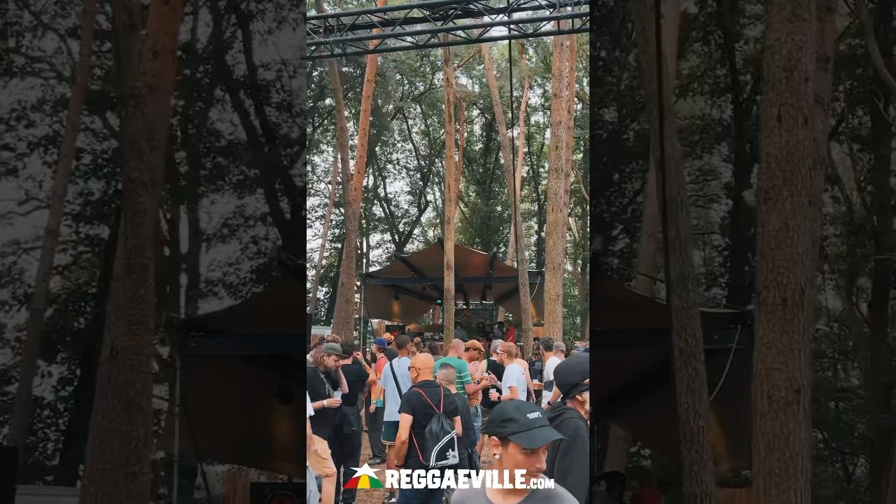 Dub Forest vibes @ Reggae Geel 2024 [8/3/2024]