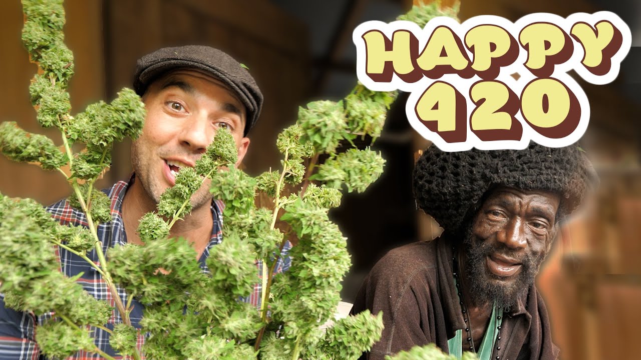 Ras Kitchen - Ganja Trimming Spliff Chat [4/20/2022]