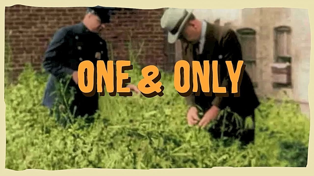 L'Entourloop feat. Charlie P - One & Only [12/21/2018]