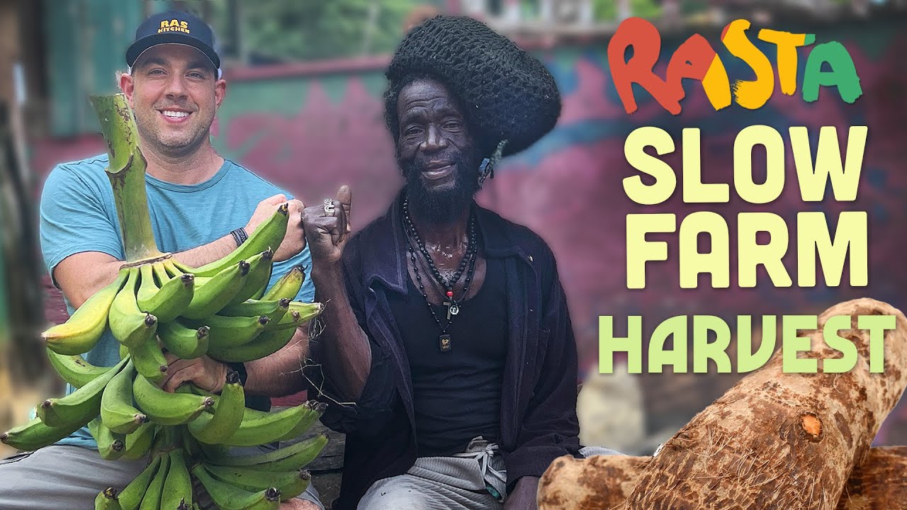 Ras Kitchen - Plantain & Yam Harvest from Rasta Mokko's Slow Farm! [4/15/2022]