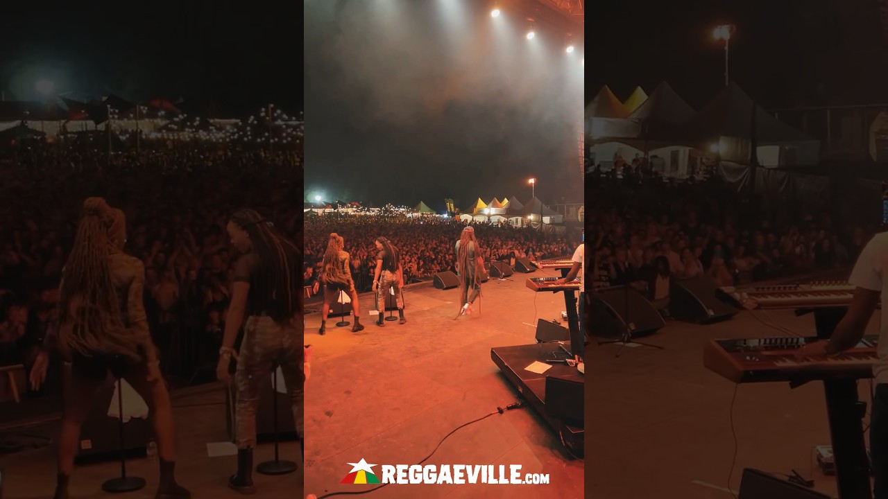 Alborosie @ Reggae Geel 2024 [8/2/2024]