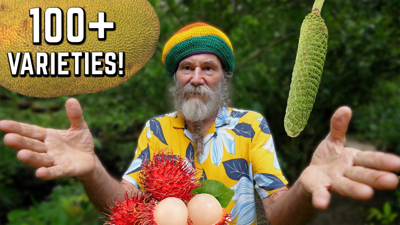 Ras Kitchen - Exotic Fruit Farm Hideaway in Jamaica! [11/22/2024]