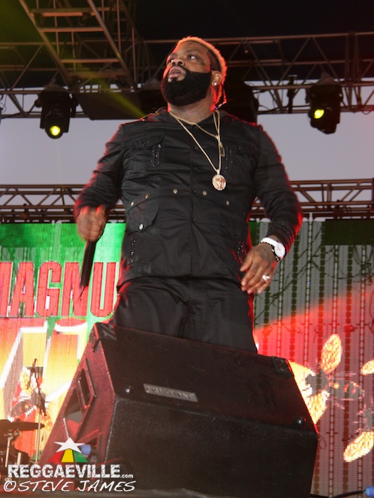 Various Artists @ Sting 2014