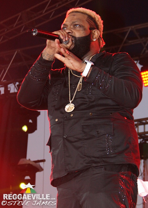 Various Artists @ Sting 2014