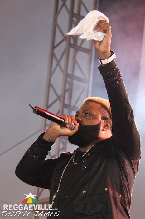 Various Artists @ Sting 2014